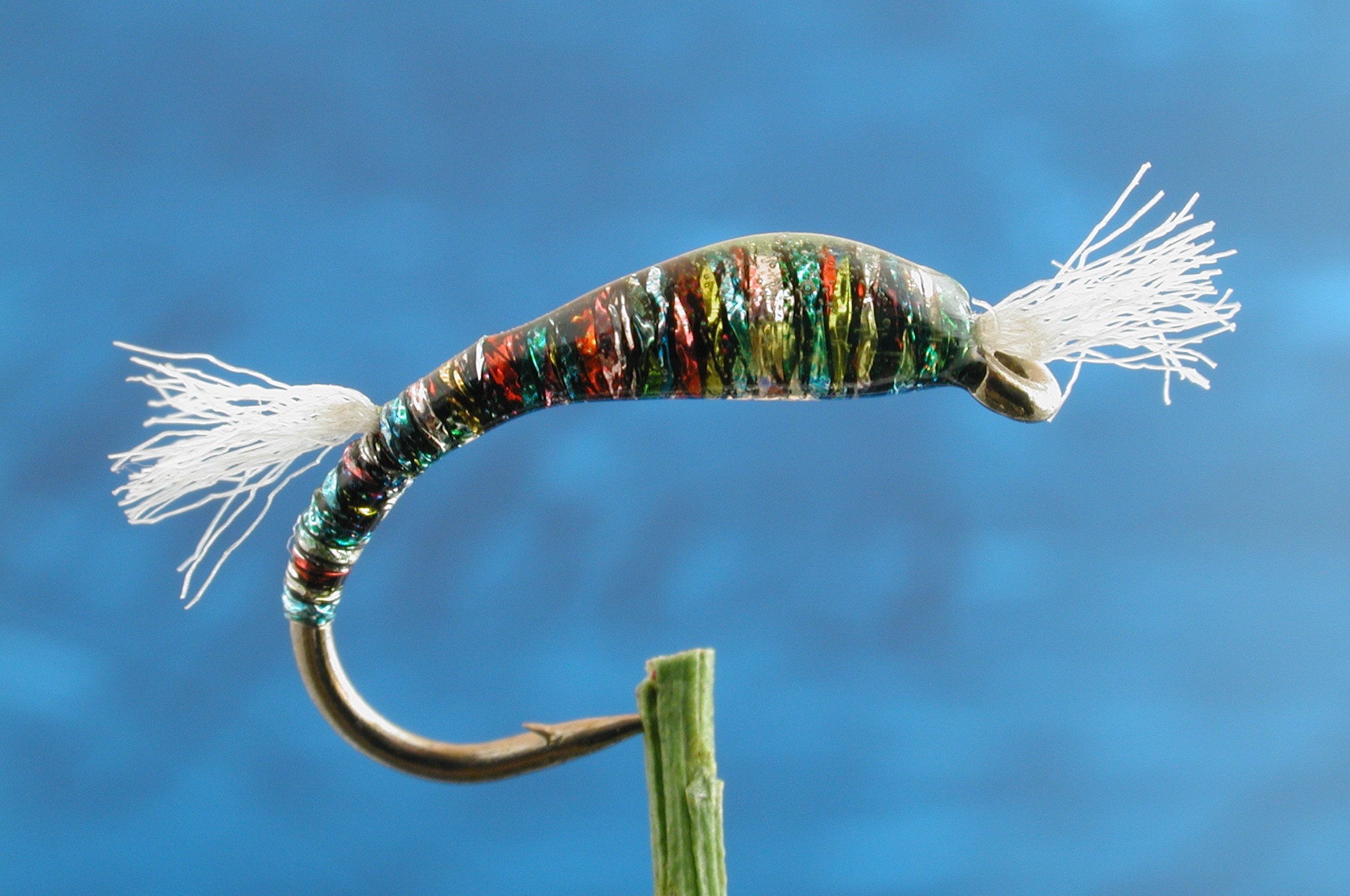 Rainbow Buzzer Fly Fishing Flies with Fish4Flies Worldwide